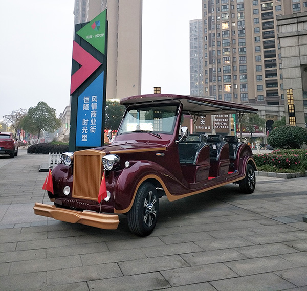 11座電動(dòng)觀光車 11座電動(dòng)觀光車